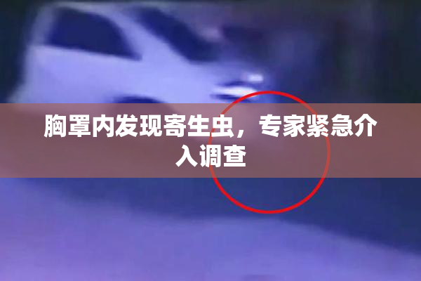 胸罩内发现寄生虫，专家紧急介入调查