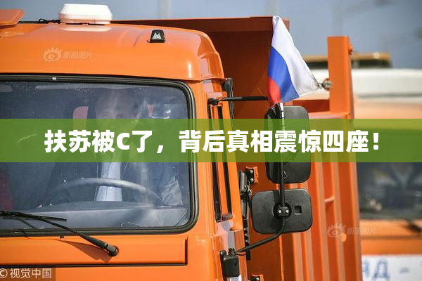 扶苏被C了，背后真相震惊四座！