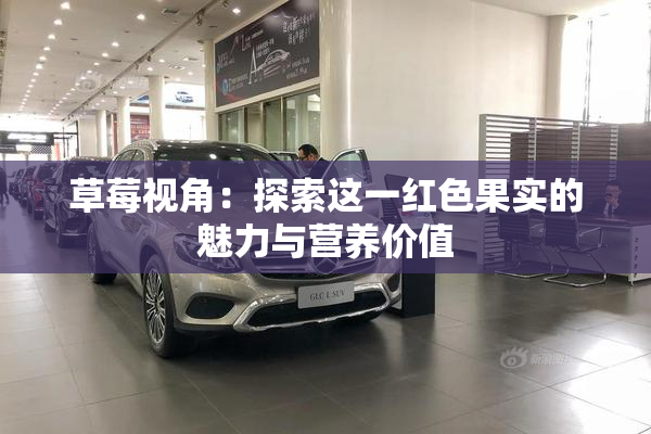 草莓视角：探索这一红色果实的魅力与营养价值