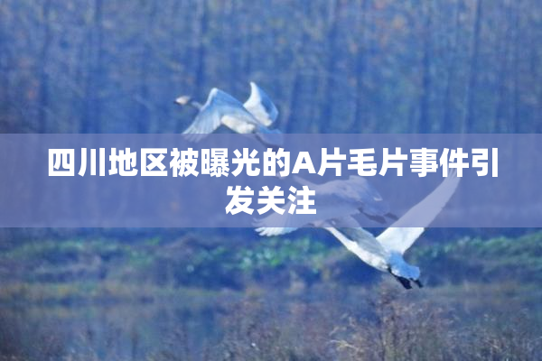 四川地区被曝光的A片毛片事件引发关注