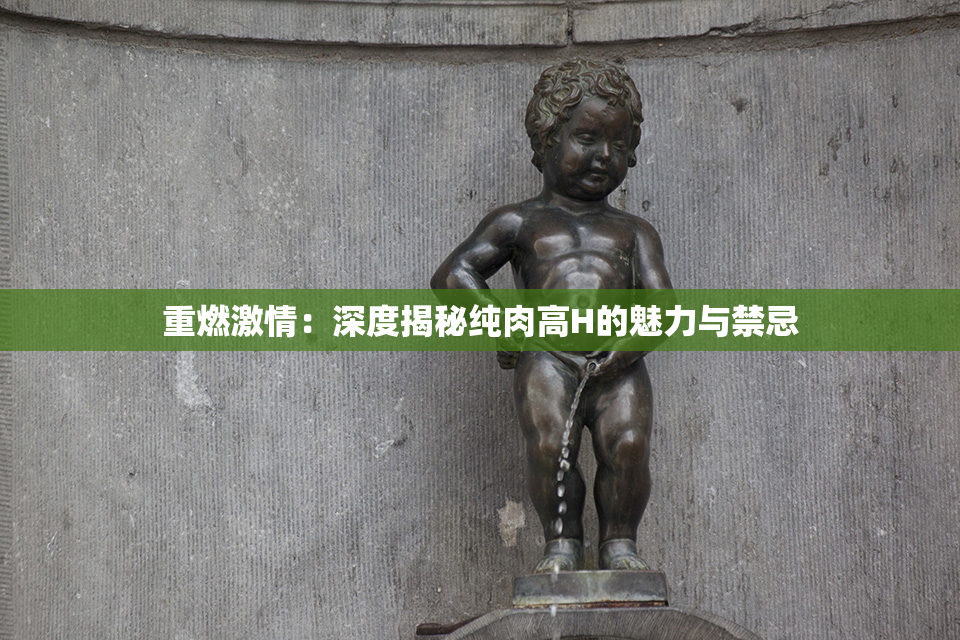 重燃激情：深度揭秘纯肉高H的魅力与禁忌