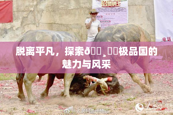 脱离平凡，探索🌸‌✿极品国的魅力与风采