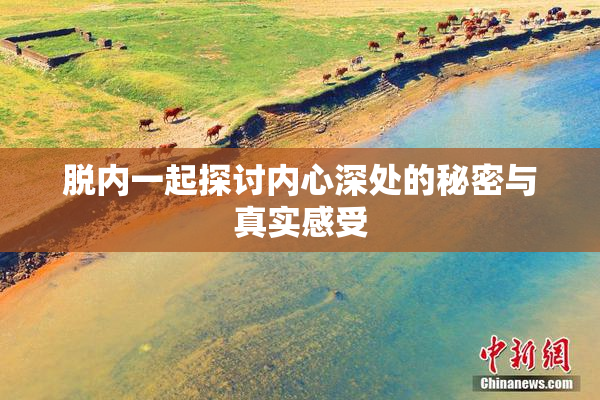 脱内一起探讨内心深处的秘密与真实感受