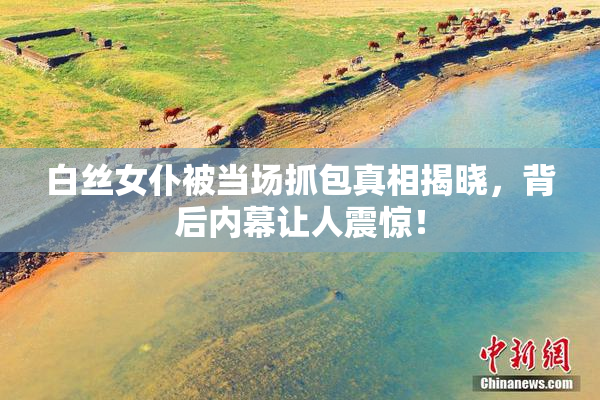 白丝女仆被当场抓包真相揭晓，背后内幕让人震惊！