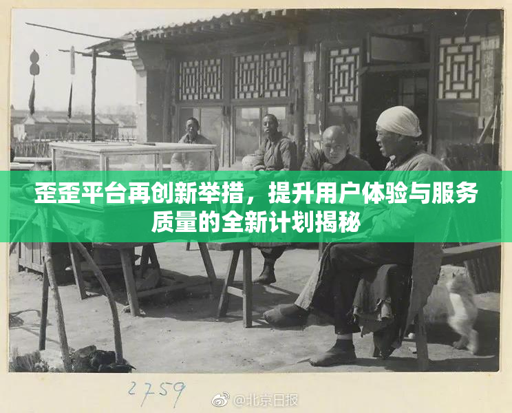 歪歪平台再创新举措，提升用户体验与服务质量的全新计划揭秘