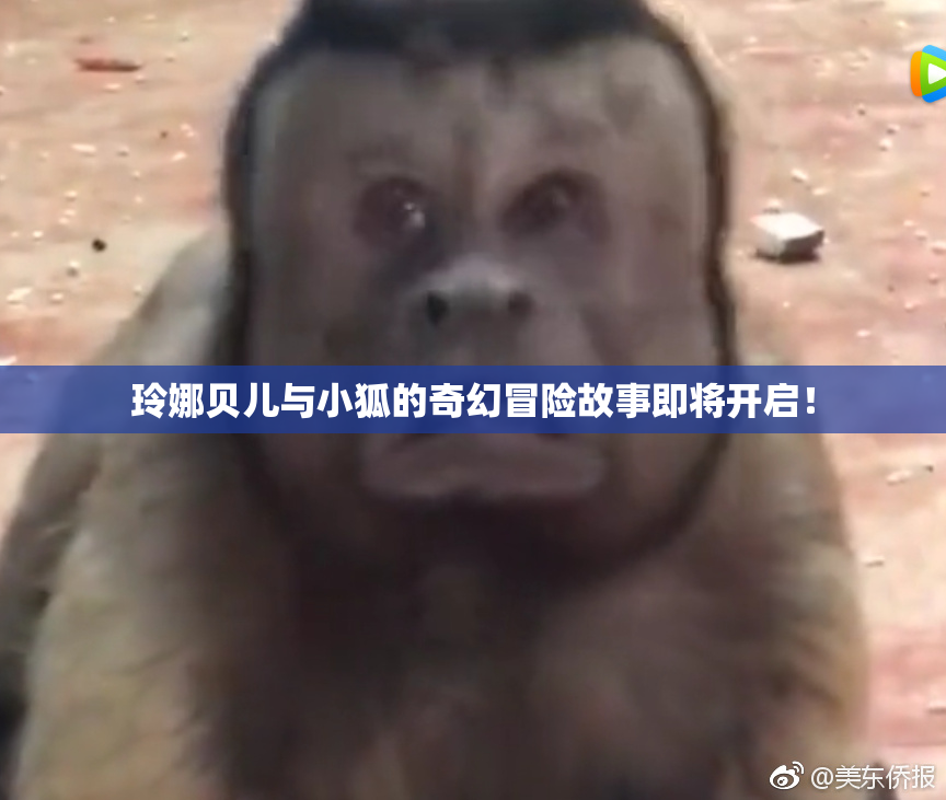 玲娜贝儿与小狐的奇幻冒险故事即将开启！