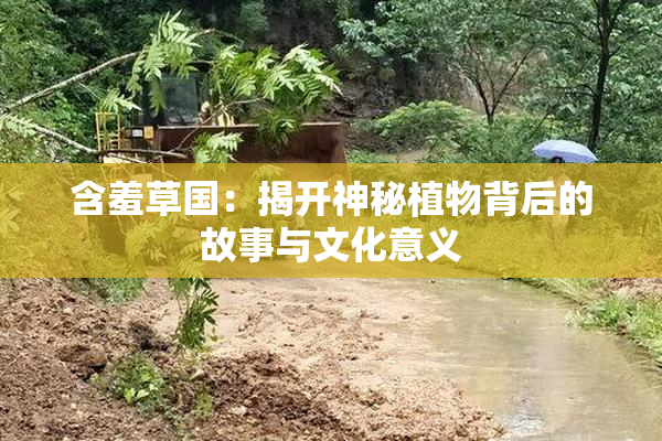 含羞草国：揭开神秘植物背后的故事与文化意义