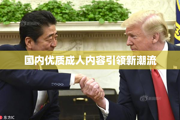国内优质成人内容引领新潮流