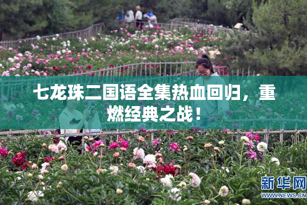 七龙珠二国语全集热血回归，重燃经典之战！