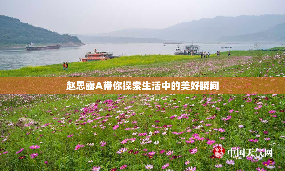 赵思露A带你探索生活中的美好瞬间