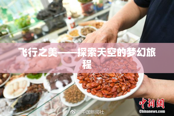 飞行之美——探索天空的梦幻旅程
