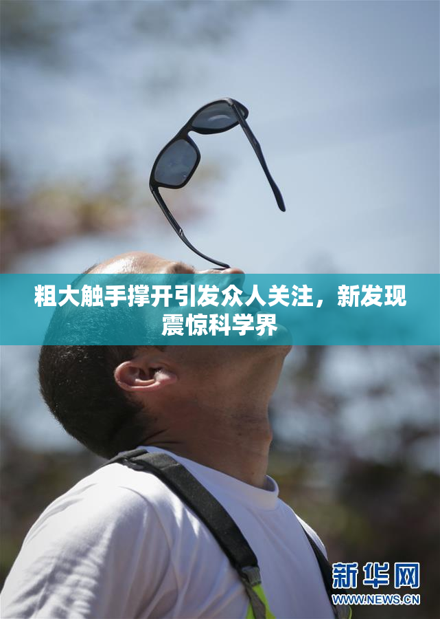 粗大触手撑开引发众人关注，新发现震惊科学界