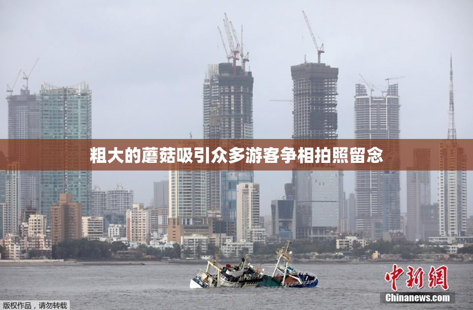 粗大的蘑菇吸引众多游客争相拍照留念