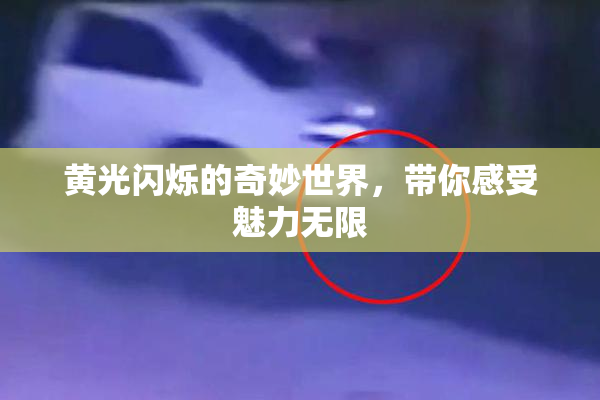 黄光闪烁的奇妙世界，带你感受魅力无限
