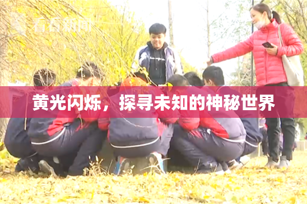 黄光闪烁，探寻未知的神秘世界