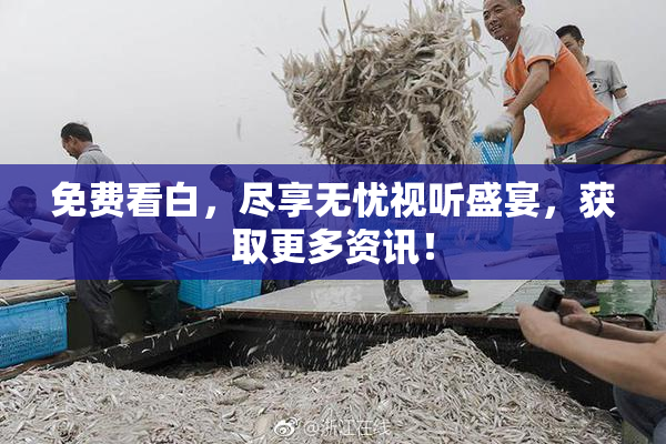免费看白，尽享无忧视听盛宴，获取更多资讯！
