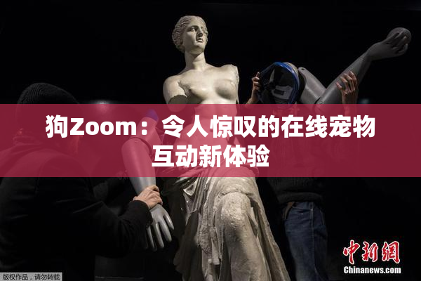 狗Zoom：令人惊叹的在线宠物互动新体验