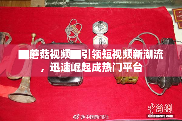 ▇蘑菇视频▇引领短视频新潮流，迅速崛起成热门平台