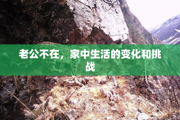 老公不在，家中生活的变化和挑战