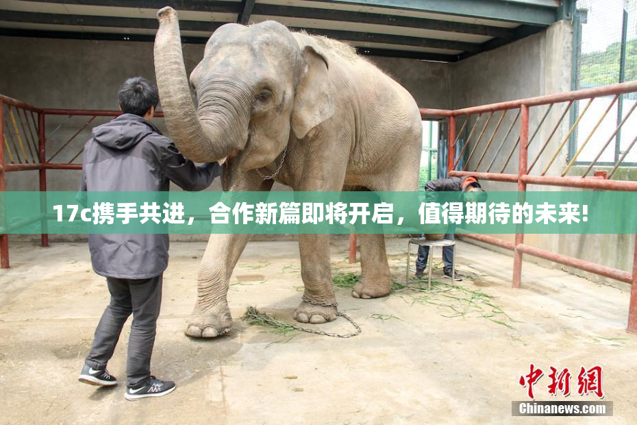 17c携手共进，合作新篇即将开启，值得期待的未来!