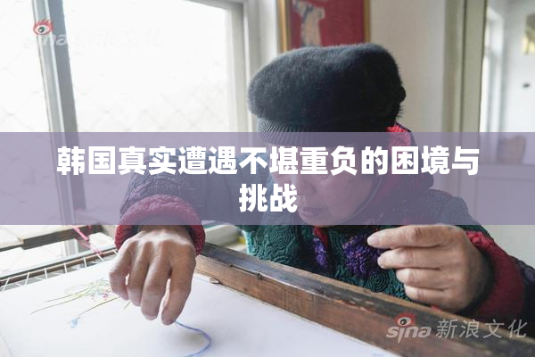 韩国真实遭遇不堪重负的困境与挑战