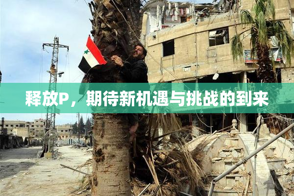 释放P，期待新机遇与挑战的到来