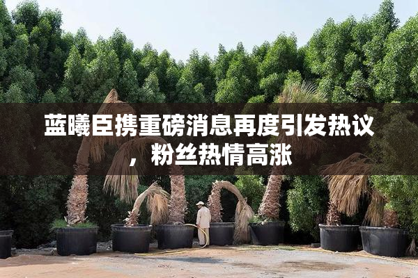 蓝曦臣携重磅消息再度引发热议，粉丝热情高涨