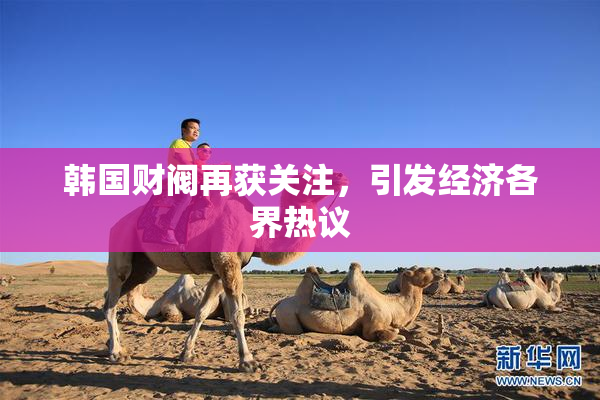 韩国财阀再获关注，引发经济各界热议