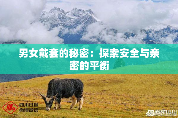男女戴套的秘密：探索安全与亲密的平衡