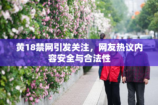 黄18禁网引发关注，网友热议内容安全与合法性