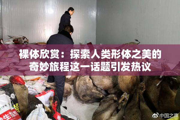 裸体欣赏：探索人类形体之美的奇妙旅程这一话题引发热议
