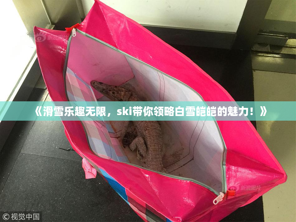 《滑雪乐趣无限，ski带你领略白雪皑皑的魅力！》