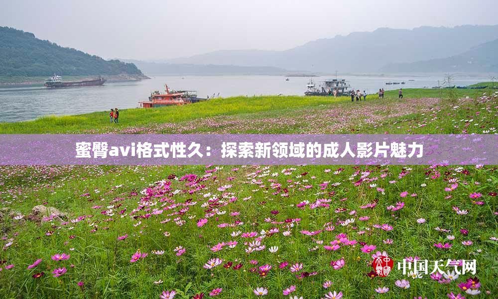 蜜臀avi格式性久：探索新领域的成人影片魅力