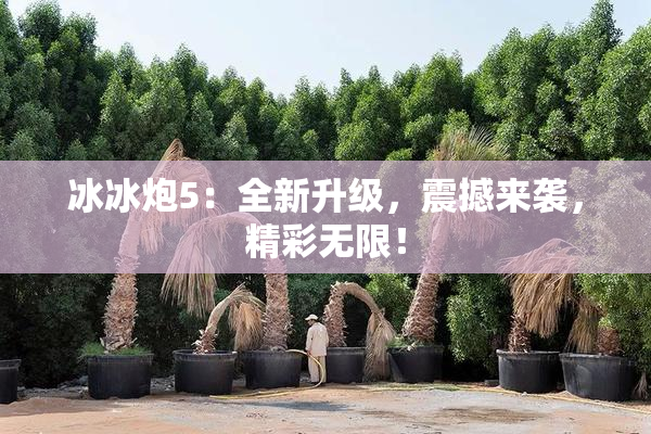 冰冰炮5：全新升级，震撼来袭，精彩无限！