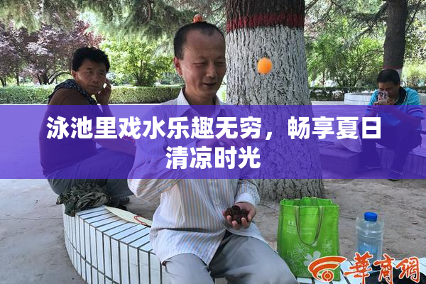 泳池里戏水乐趣无穷，畅享夏日清凉时光