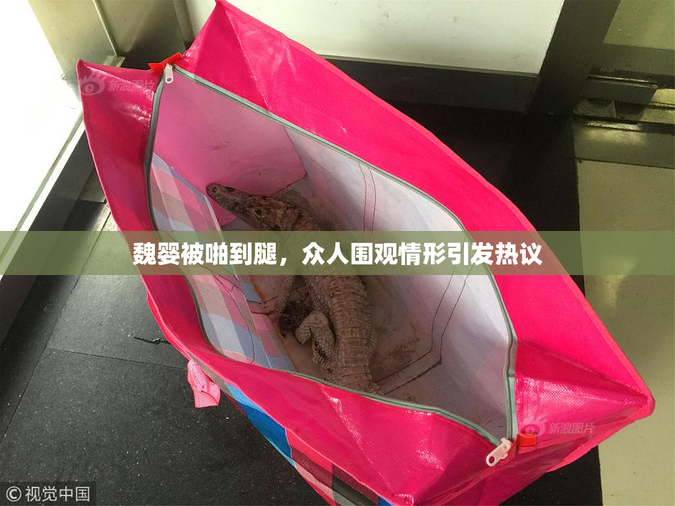 魏婴被啪到腿，众人围观情形引发热议