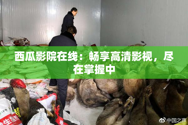 西瓜影院在线：畅享高清影视，尽在掌握中