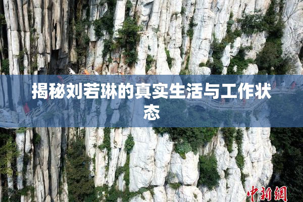 揭秘刘若琳的真实生活与工作状态