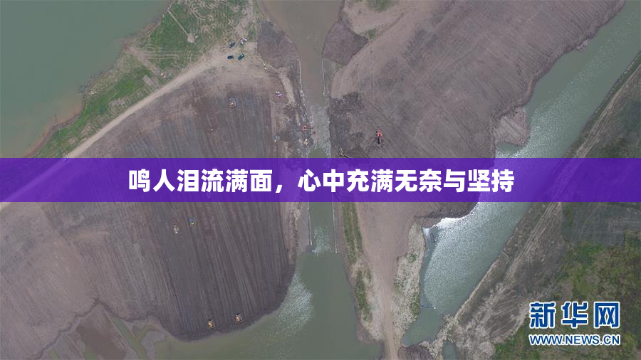 鸣人泪流满面，心中充满无奈与坚持