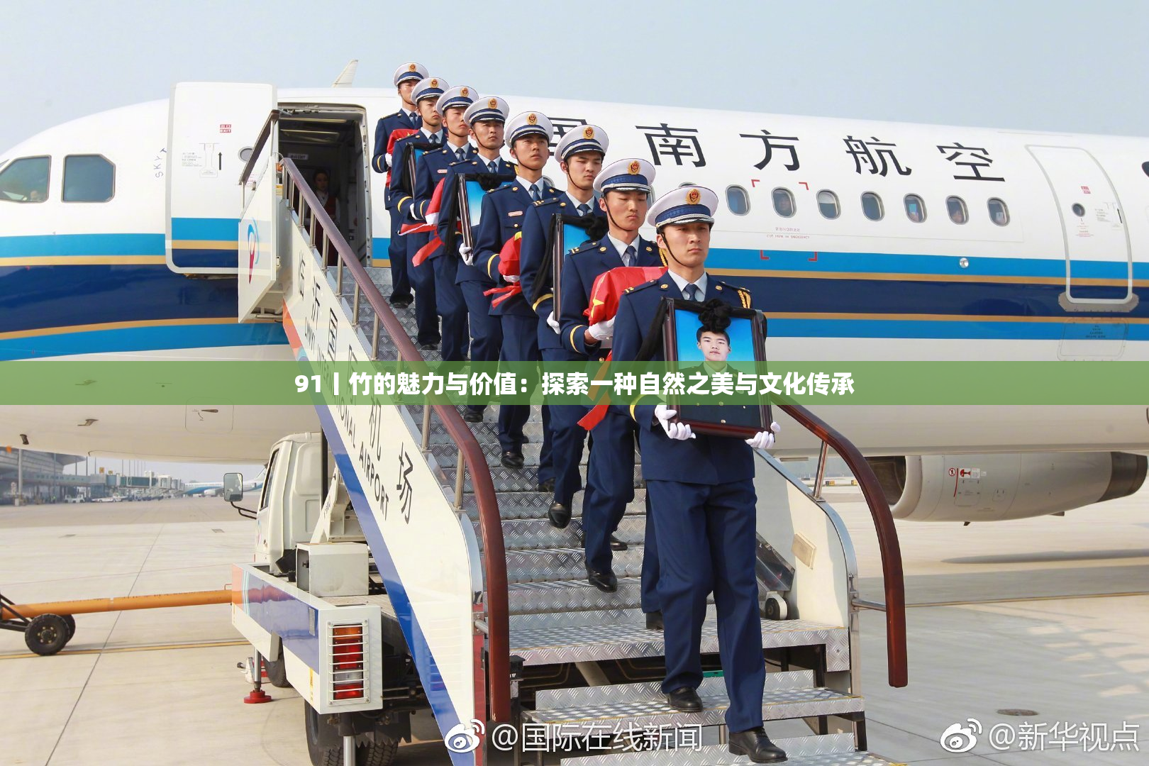 91丨竹的魅力与价值：探索一种自然之美与文化传承
