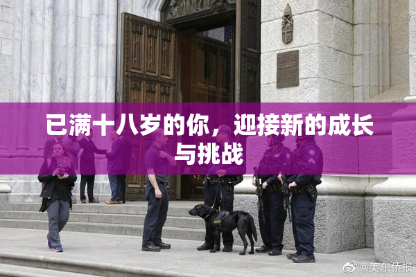 已满十八岁的你，迎接新的成长与挑战