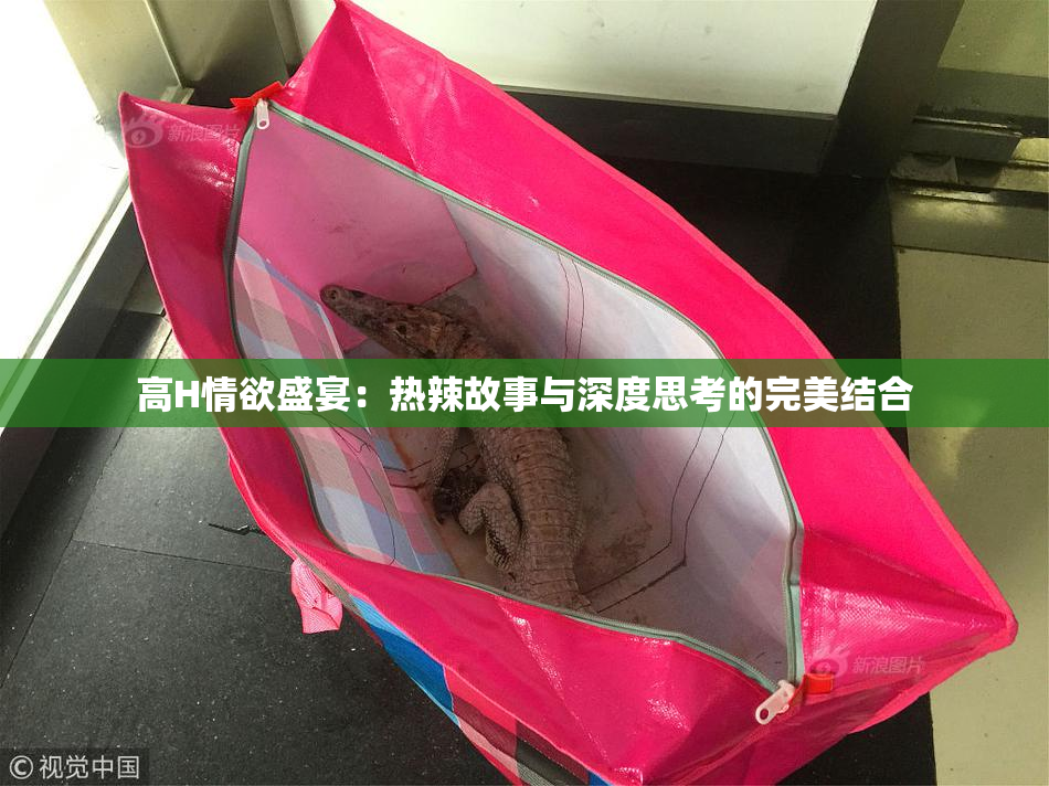 高H情欲盛宴：热辣故事与深度思考的完美结合