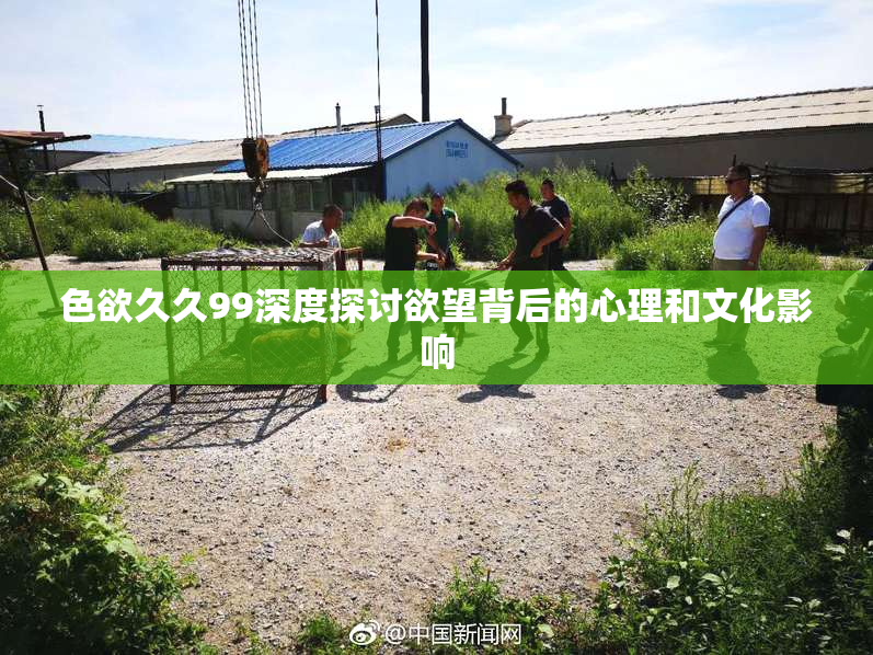 色欲久久99深度探讨欲望背后的心理和文化影响