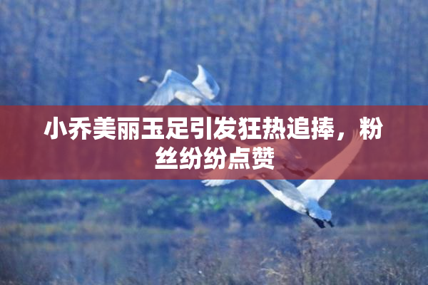 小乔美丽玉足引发狂热追捧，粉丝纷纷点赞