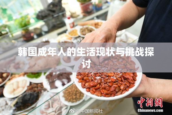 韩国成年人的生活现状与挑战探讨