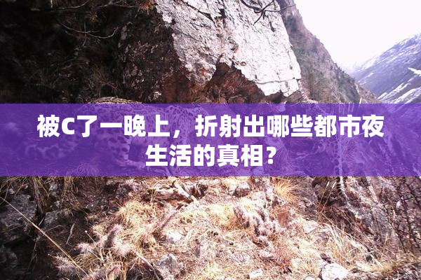 被C了一晚上，折射出哪些都市夜生活的真相？