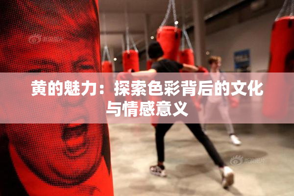 黄的魅力：探索色彩背后的文化与情感意义