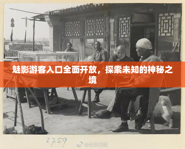 魅影游客入口全面开放，探索未知的神秘之境