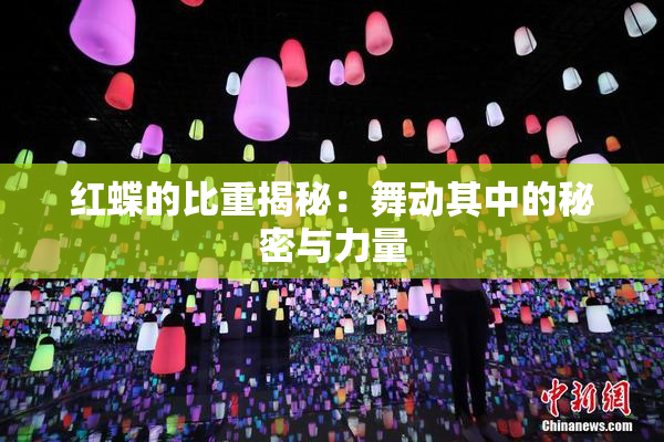 红蝶的比重揭秘：舞动其中的秘密与力量