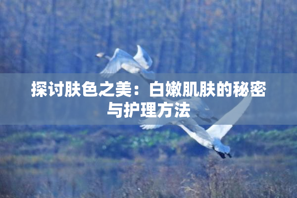 探讨肤色之美：白嫩肌肤的秘密与护理方法